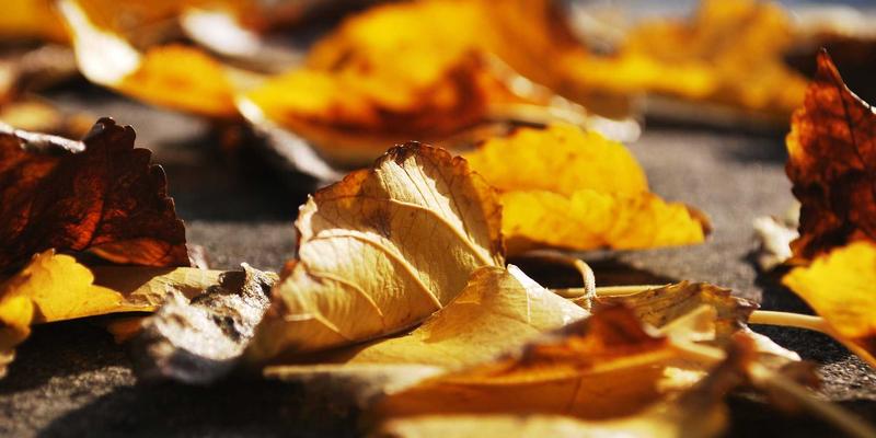 工程机械租赁价格波动全解析：如何精准踩点装载机、挖掘机租赁，旺季省30%成本