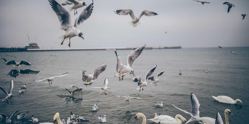 工程机械租赁避坑指南:资质审查与选择标准的黄金法则