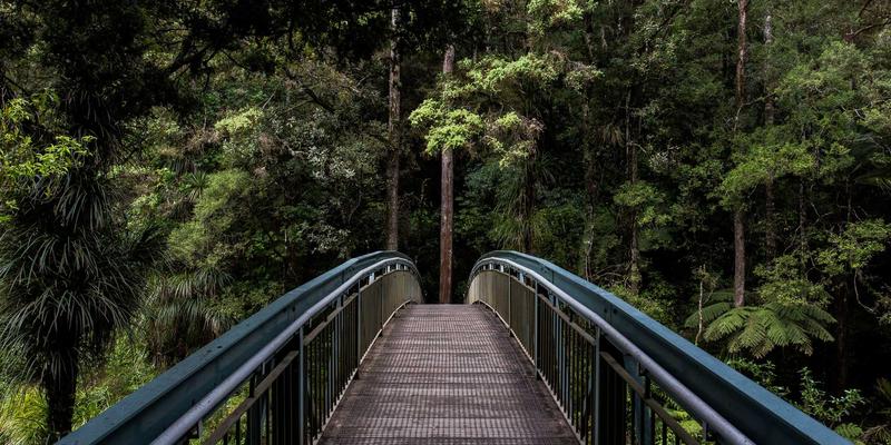 绿色变革:工程机械租赁如何成为碳中和的先行者——聚焦起重机、压路机、挖掘机租赁的能效评估与认证